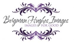 bergman hughes images